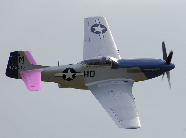  O estabilizador horizontal deste Mustang P-51 Norte Americano construído em 1944 foi realçado em rosa para demonstrar sua localização. 